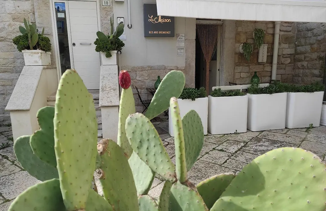 La Maison-1